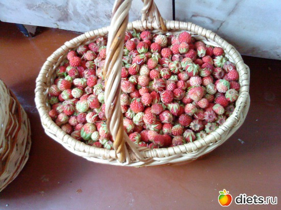 3 ����: ���� ���� � �����