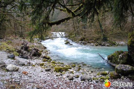 ������ �����..., ������: �������