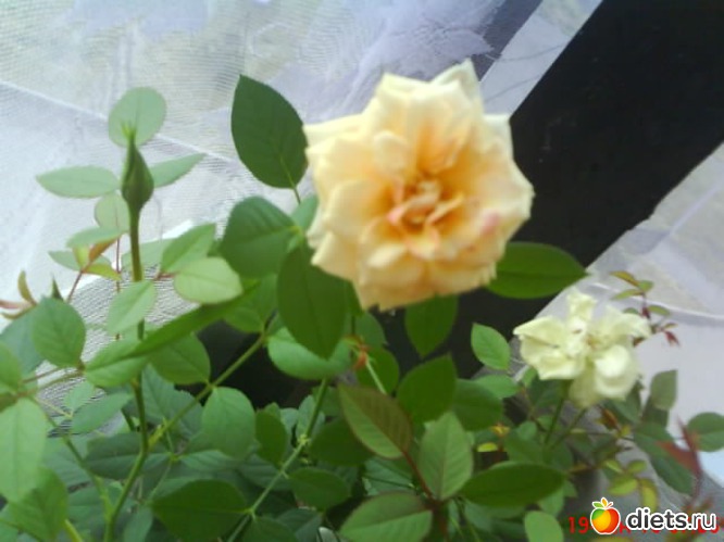 10 фото: люблю лето!!!