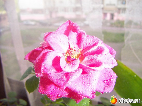 12 фото: люблю лето!!!