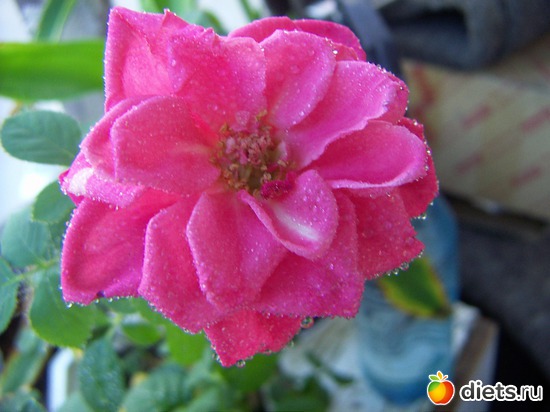 14 фото: люблю лето!!!