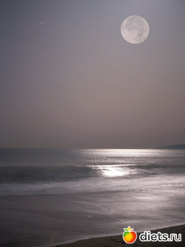 Покой под Полной Луной