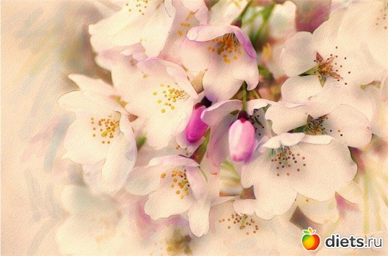 ����� �������....(1), ������: ������ �������� ��������