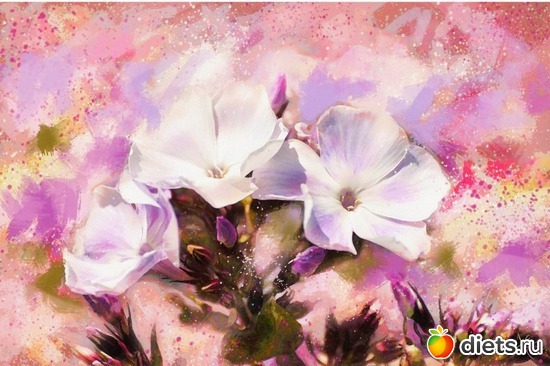 ����� �������....(2), ������: ������ �������� ��������