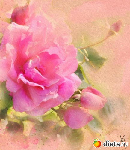 ����� �������....(3), ������: ������ �������� ��������