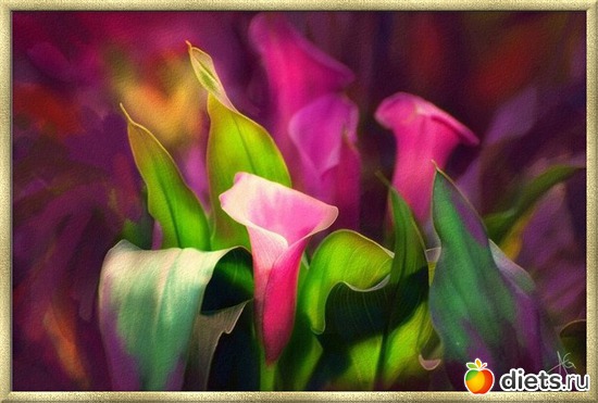 ����� �������....(6), ������: ������ �������� ��������