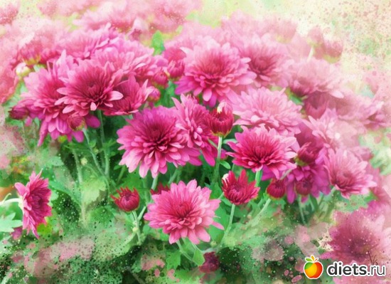 2., ������: ������ �������� ��������