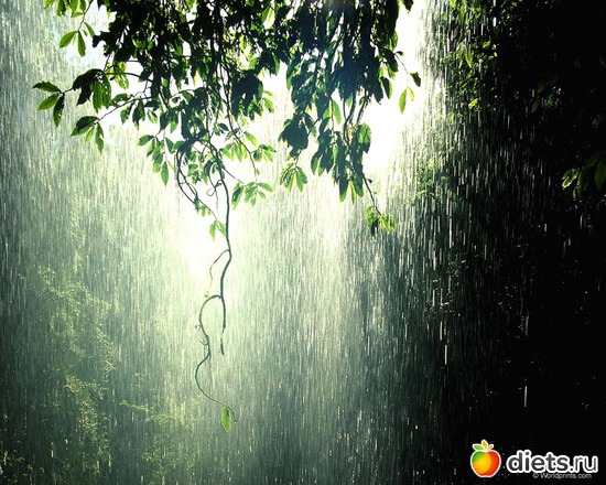 3., ������: ������ �������� ��������