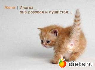 ��� ����� ������ �����...