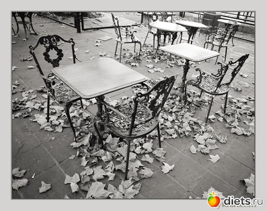 �����, ������: ������ �������� ��������