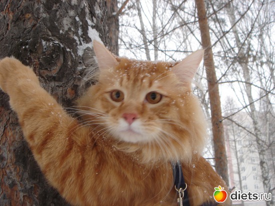 1 фото: огого