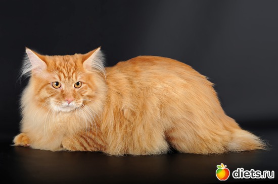 3 фото: огого