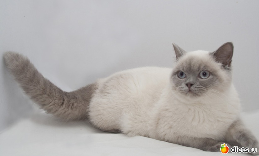 10 ����: ������ ��������