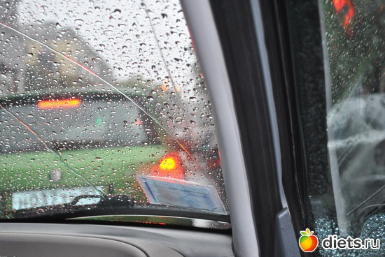 ����� �� ������, ������: ���������