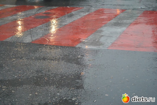 ������ �������, ������: ���������