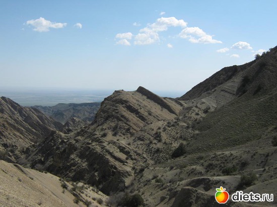 1 фото: Весна в горах Копетдага