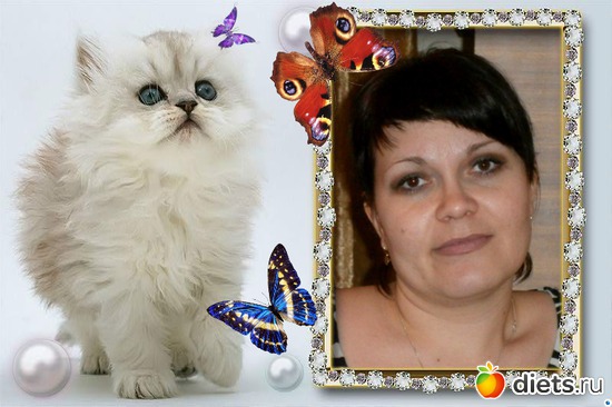 2 ����: ��� ����������