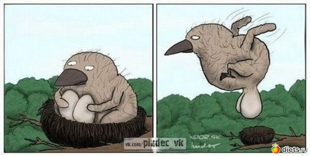 17 ����: LoL