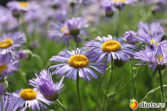 2 ����: ������� �����