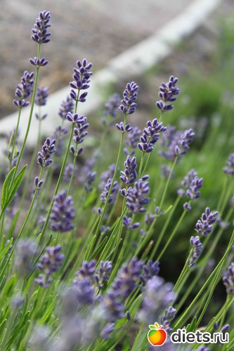 3 фото: Любимые фотки