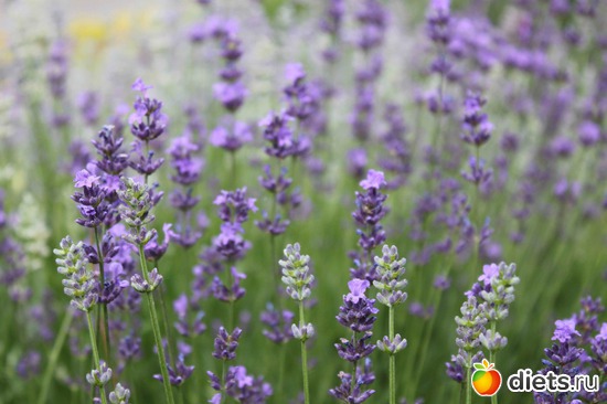 4 фото: Любимые фотки