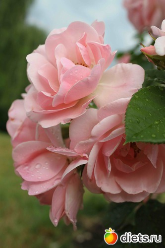 5 фото: Любимые фотки