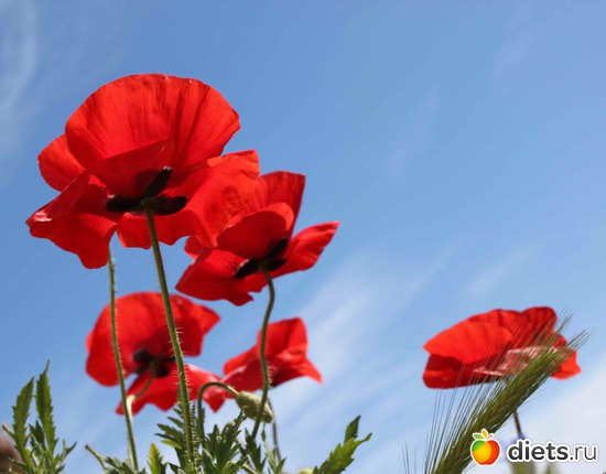 6 ����: ������� �����