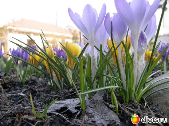 7 ����: ������� �����