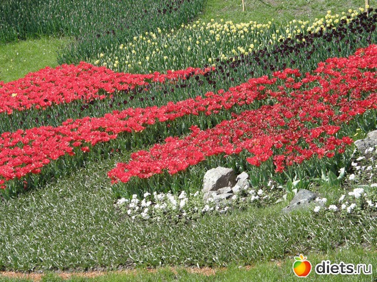 8 ����: ������� �����