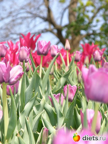 9 ����: ������� �����