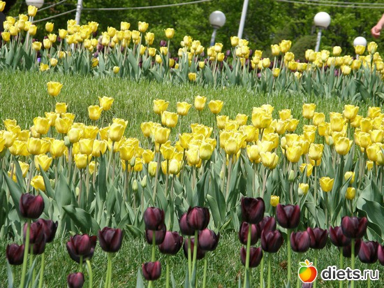 10 фото: Любимые фотки