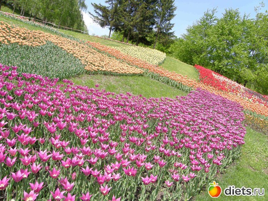 11 ����: ������� �����