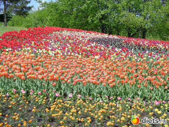 12 ����: ������� �����