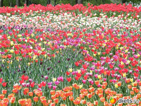 13 фото: Любимые фотки