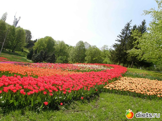 14 ����: ������� �����