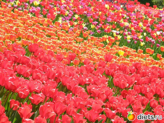 15 ����: ������� �����