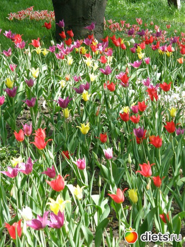 16 ����: ������� �����