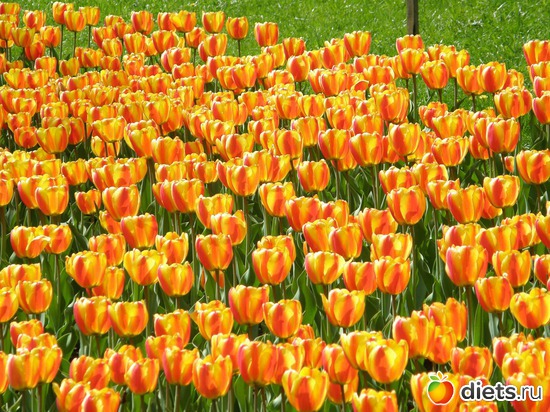 17 ����: ������� �����