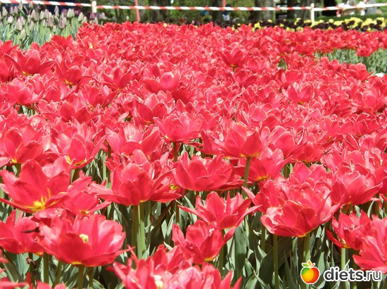 18 ����: ������� �����