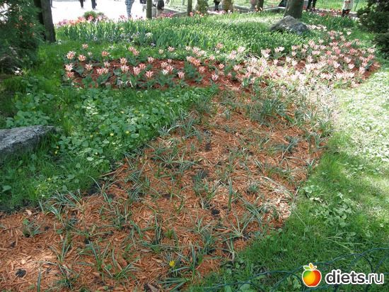 19 ����: ������� �����