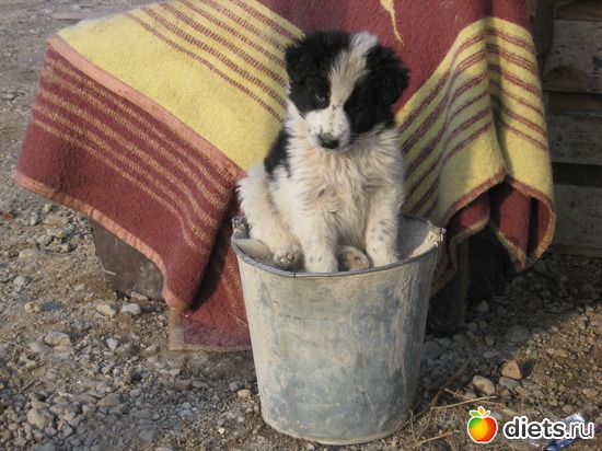 И такое бывает..., альбом: Мои и не только...