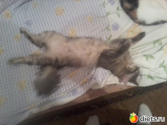 Это моя так спит, альбом: Мои и не только...