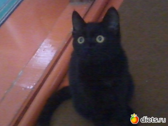 &quot;&quot;  , :    ...