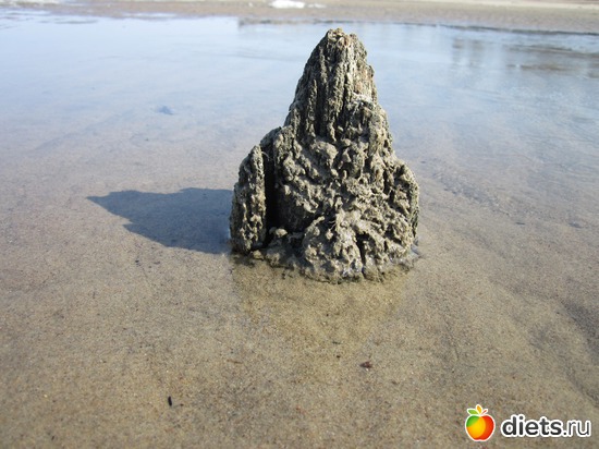 38 ����: ������