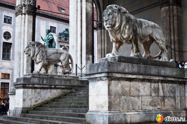 11 ����: ��� ����� �������� �����