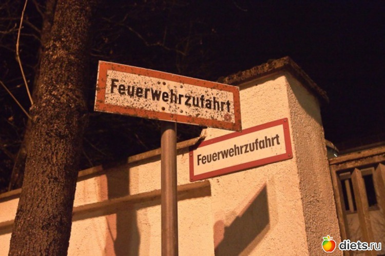 12 ����: ��� ����� �������� �����