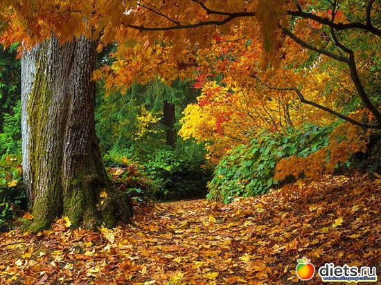 1 фото: Просто так