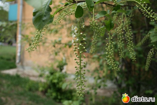 пробуждение природы