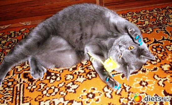 10 ����: ��� ������� ������� �������� :)))