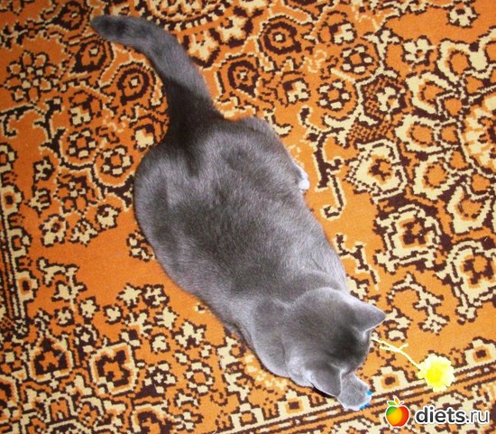 11 ����: ��� ������� ������� �������� :)))